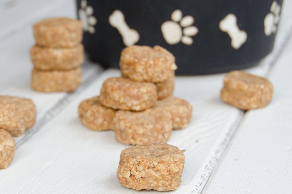 No-bake puppy treats on a white wood with a black and white dog bowl in background.