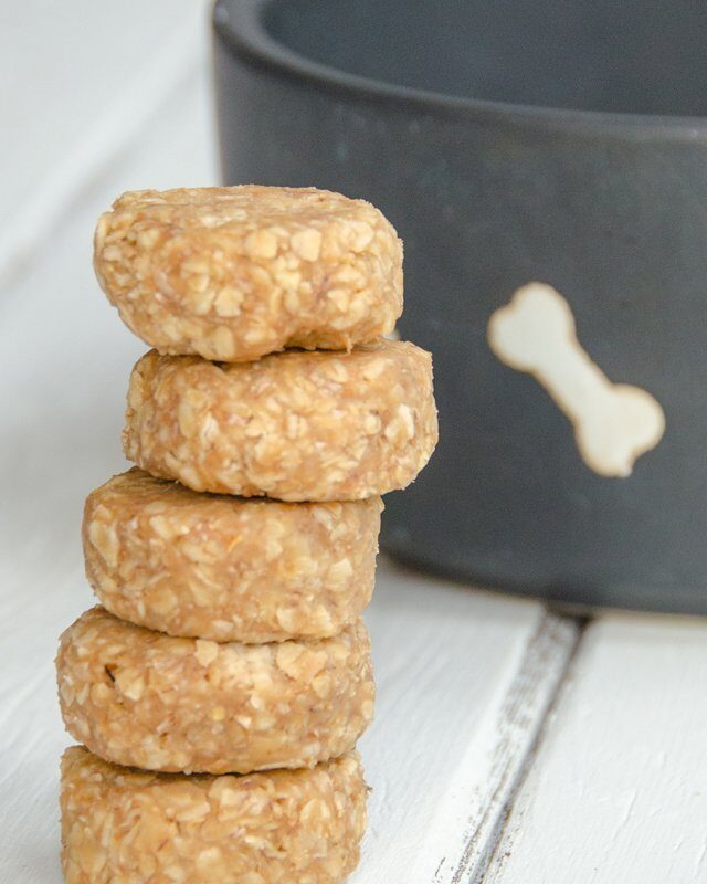 No Bake Peanut Butter Oatmeal Puppy Treats