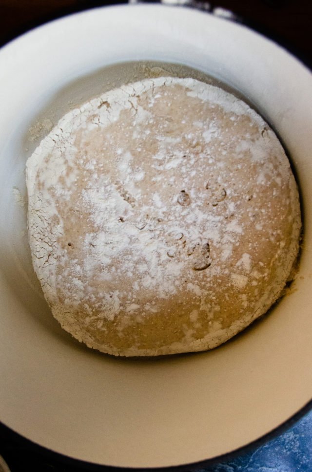 Whole Wheat No Knead Bread after being transferred to cast iron pot.