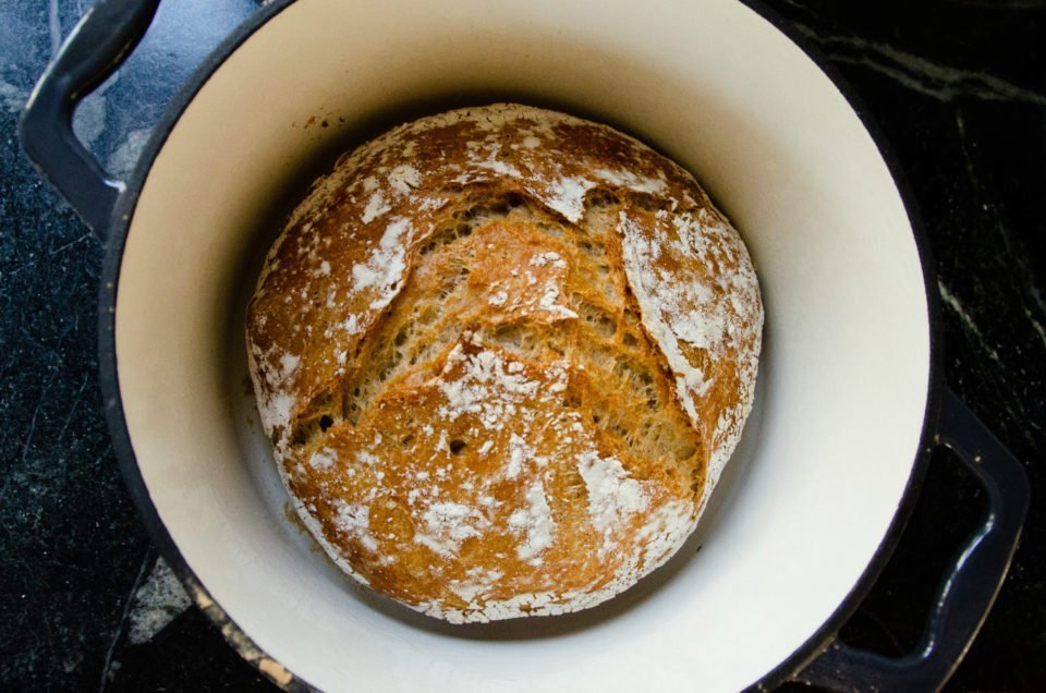 Whole Wheat No-Knead Skillet Bread - Taste Love and Nourish