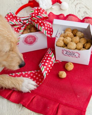Air Fried Puppy Poppers