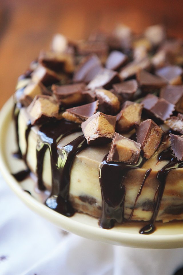 Peanut Butter Cheesecake Blue Jean Chef Meredith Laurence