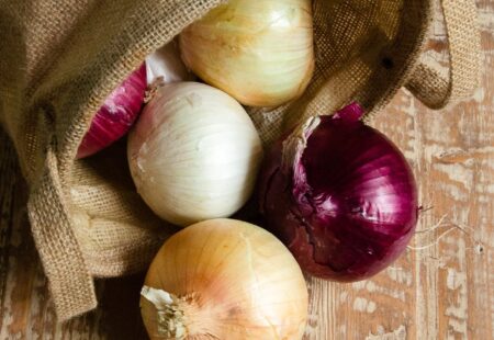 How to Cut an Onion
