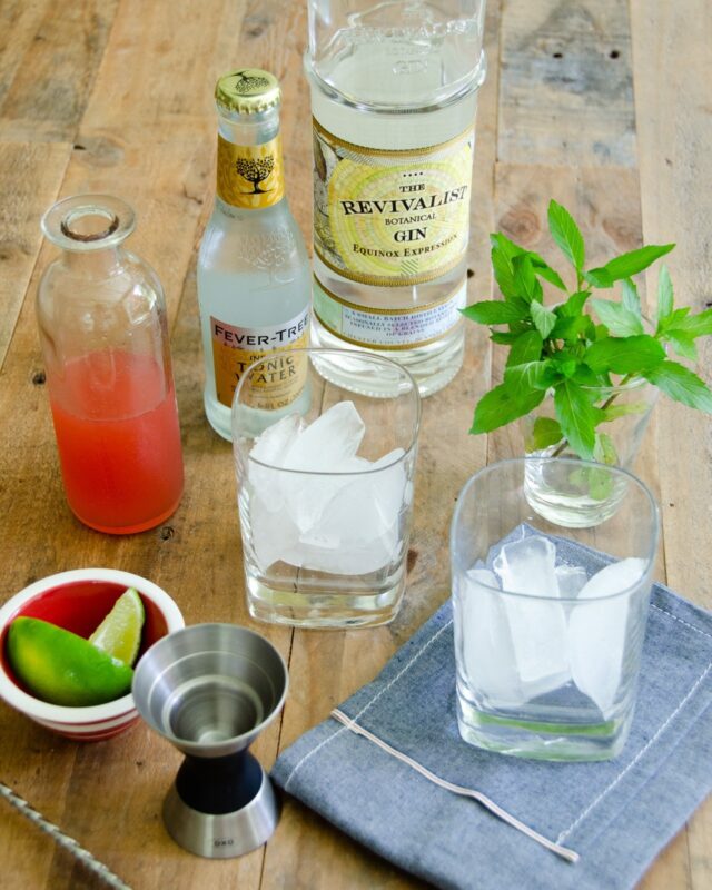 Rhubarb-Mint Gin and Tonic | Blue Jean Chef - Meredith Laurence