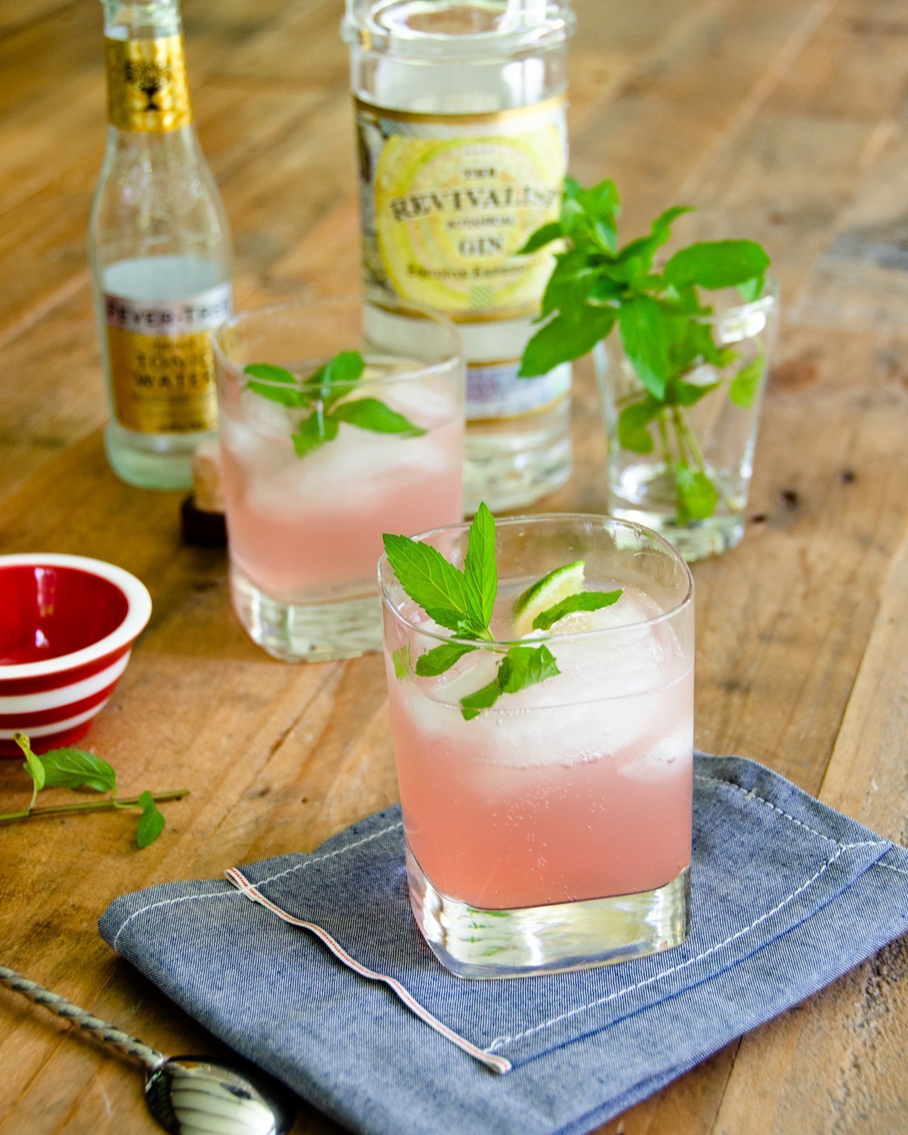 Rhubarb-Mint Gin and Tonic | Blue Jean Chef - Meredith Laurence