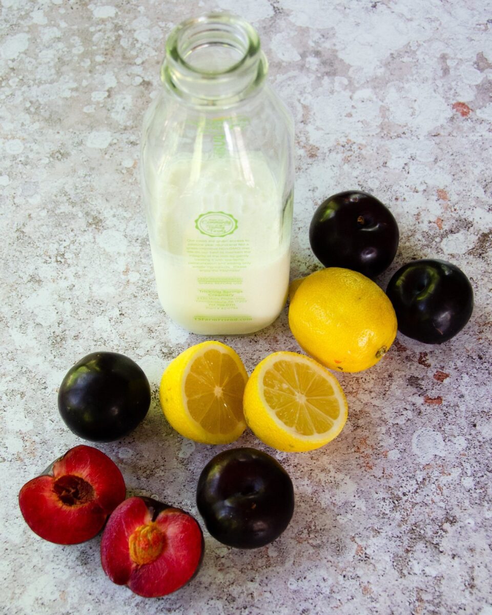 Plum Lemon Buttermilk Ice Cream Blue Jean Chef Meredith Laurence