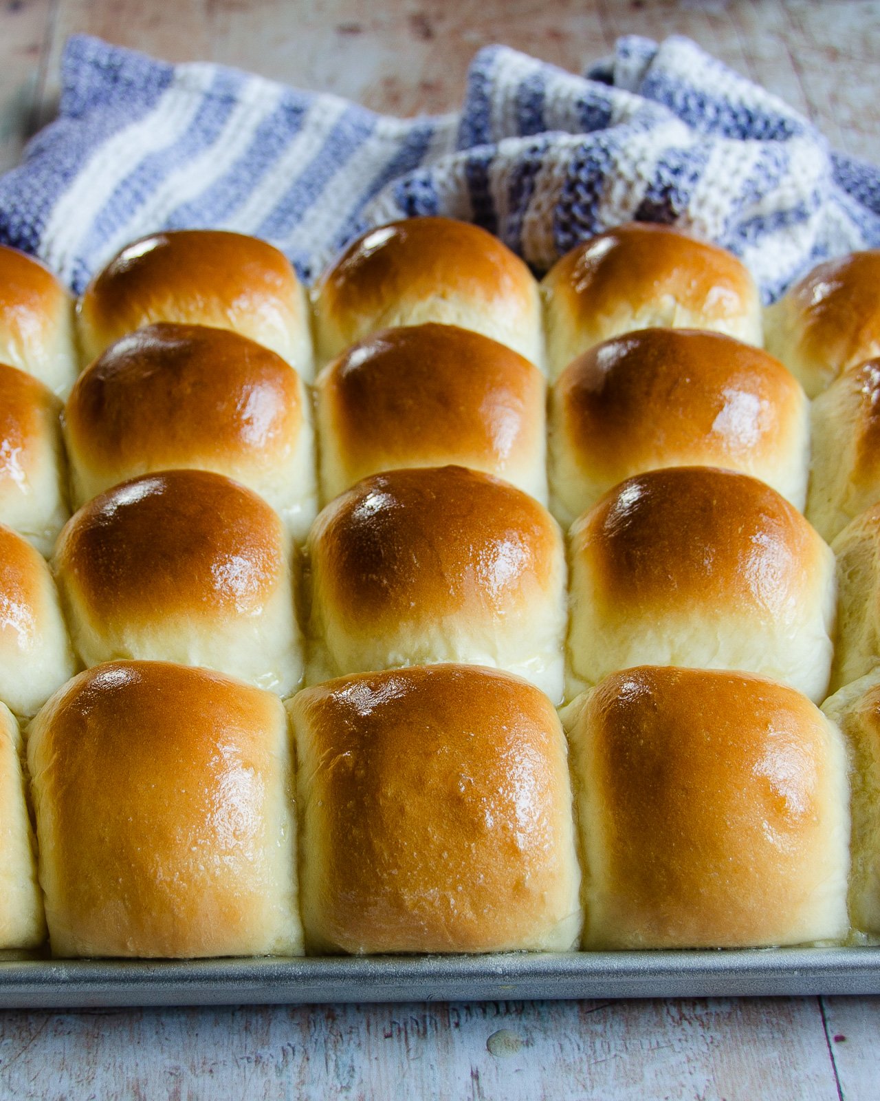 Sheet Pan Dinner Rolls | Blue Jean Chef - Meredith Laurence