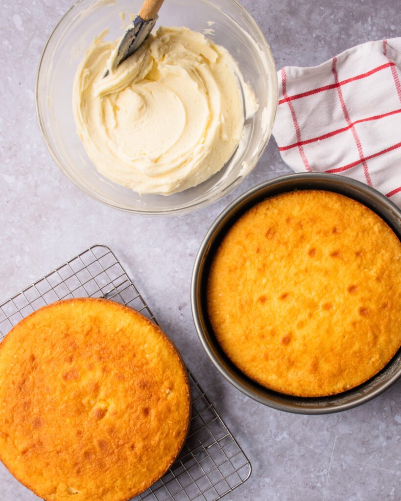 Baking Soda vs Baking Powder  Blue Jean Chef - Meredith Laurence