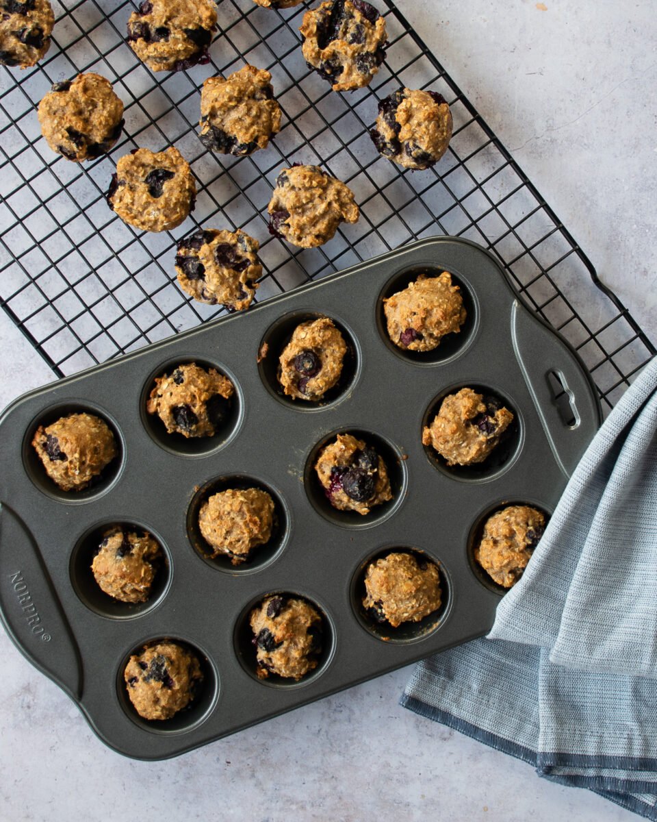 Blueberry PupMuffins Blue Jean Chef Meredith Laurence