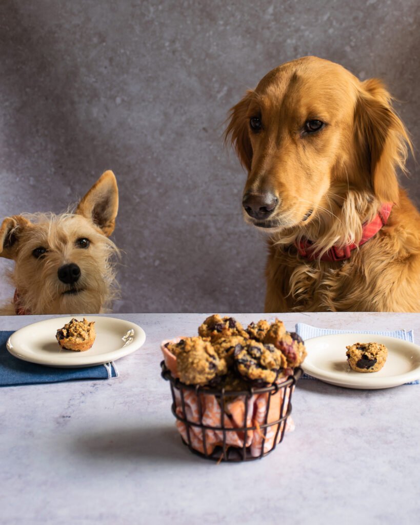 Dog muffin treat best sale