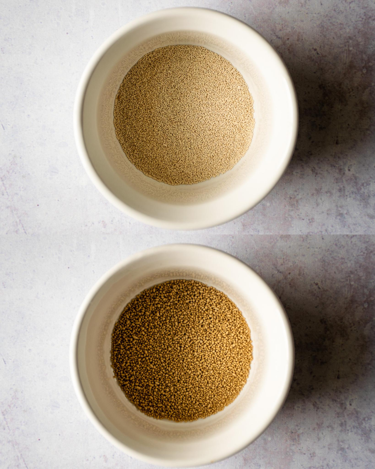 Two white ramekins, one with instant yeast and one with active dry yeast.
