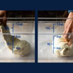 Two photos showing how to turn sourdough bread dough in a transparent container.