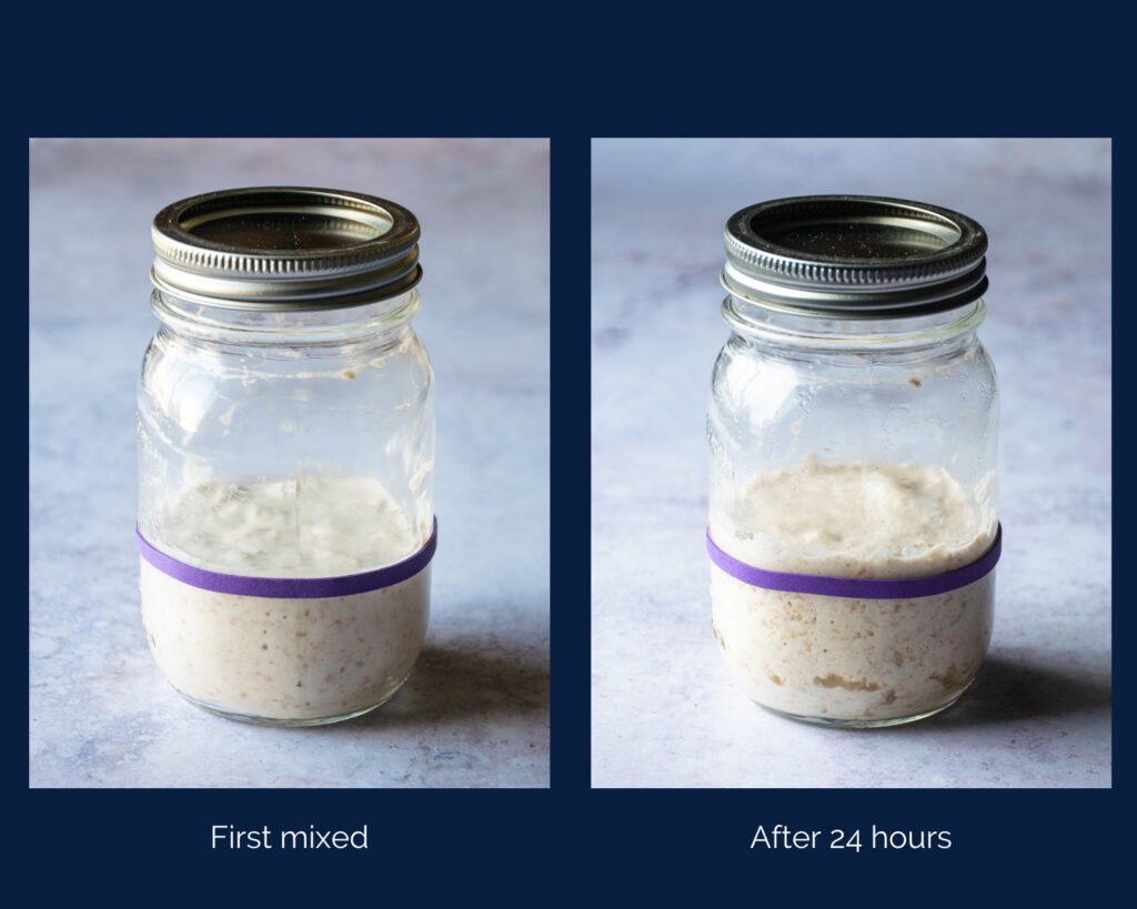 How to Make a Sourdough Starter  Blue Jean Chef - Meredith Laurence