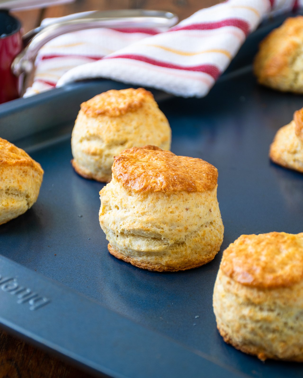 Sourdough Buttermilk Biscuits Blue Jean Chef Meredith Laurence