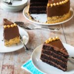 Two slices of chocolate nutella 4-layer cake on white plates with the remainder of the cake in the background.