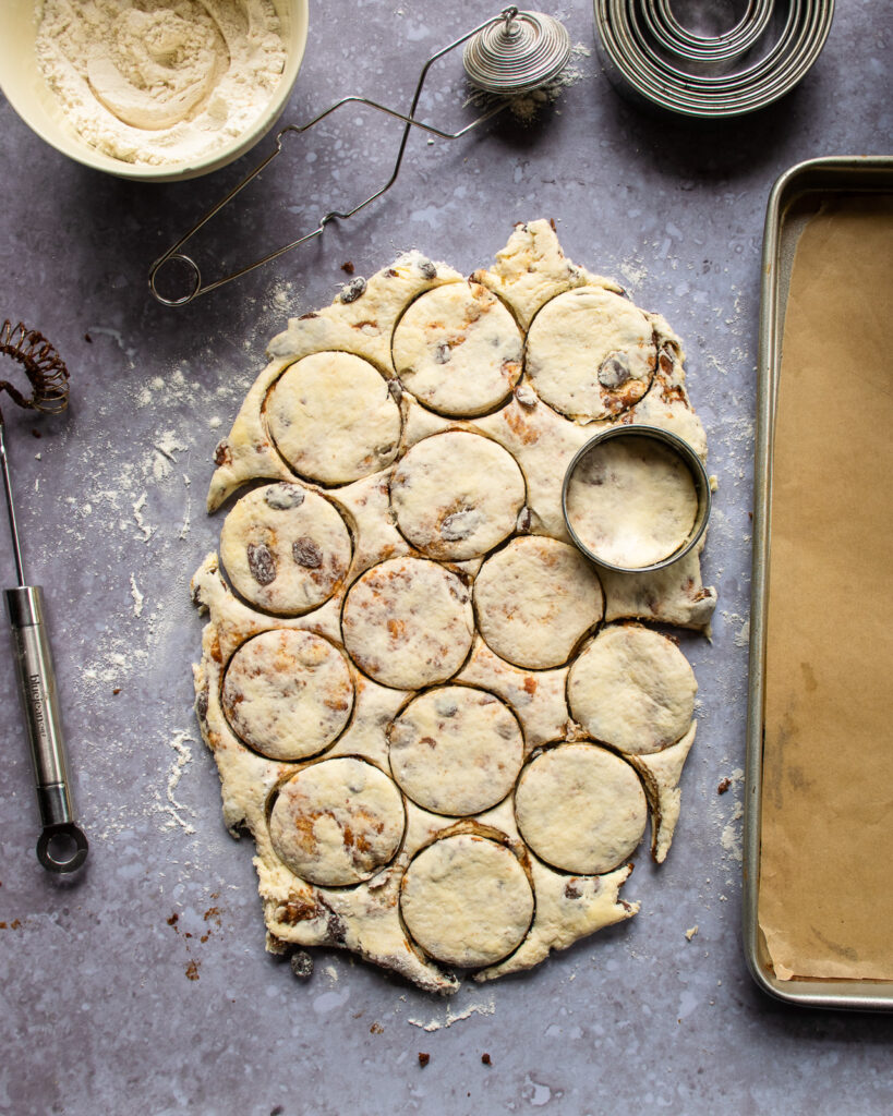 Looking down on circles cut out of rolled out biscuit dough.