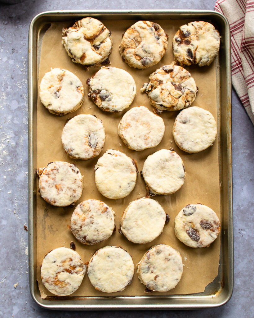 Raw cinnamon raisin biscuits on a parchment paper-lined baking sheet.