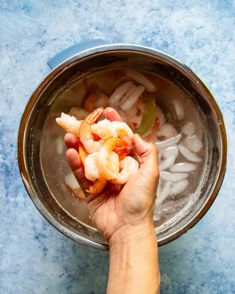 A hand holding cooked shrimp above an ice bath.