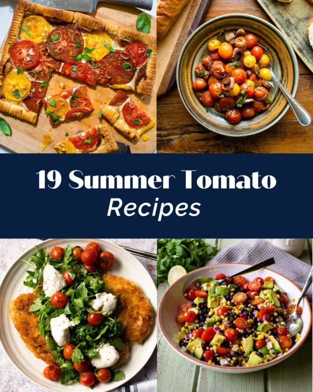 19 Summer Tomato Recipes