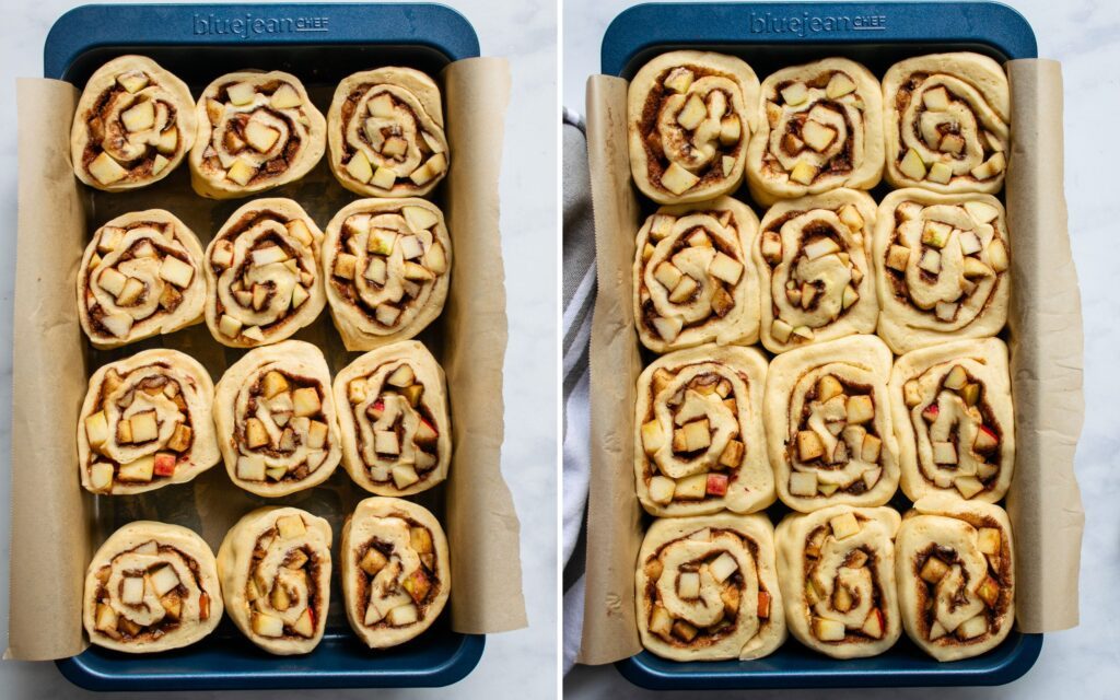 Two images showing the before and after of the second rise of apple cinnamon rolls.